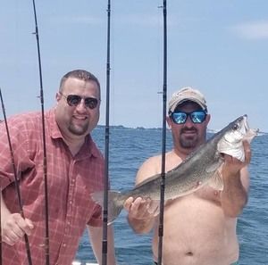 Meet your Posher, Robert